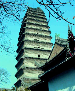 Small Wild Pagoda